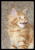 Winnie